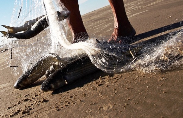 Linhares agora tem Dia do Pescador e data lembra desastre ambiental