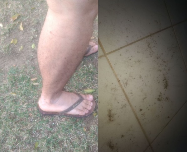 Pontal: Mosquitos atacam de dia e de noite, reclama morador