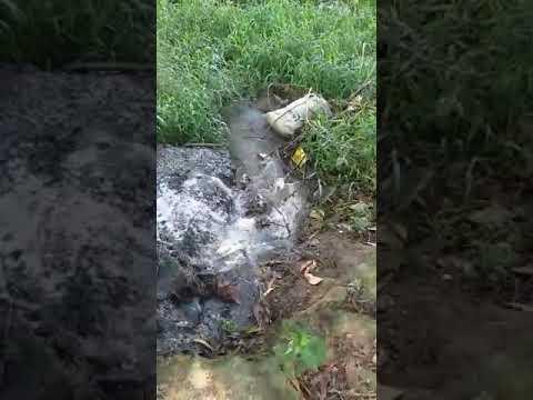 Esgoto in natura segue direto para a Lagoa em Linhares