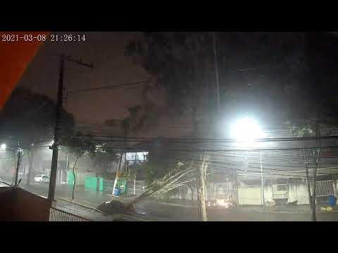 Tempestade em Linhares: Veja o momento em que árvore cai no bairro Colina