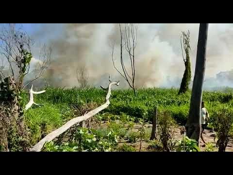 Incêndio consome vegetação às margens do Rio Pequeno, perto da Invasão do Juparanã