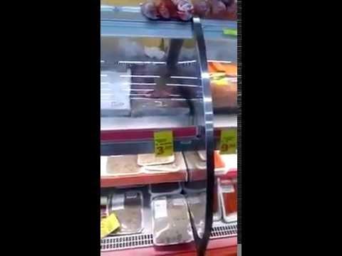 Rato passeia entre alimentos de supermercado