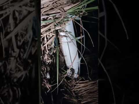 Uno capotado é encontrado em canavial no bairro Canivete