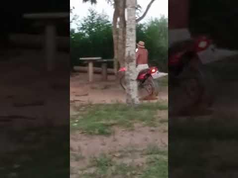 Homem arrasta cachorrinha em moto em Linhares