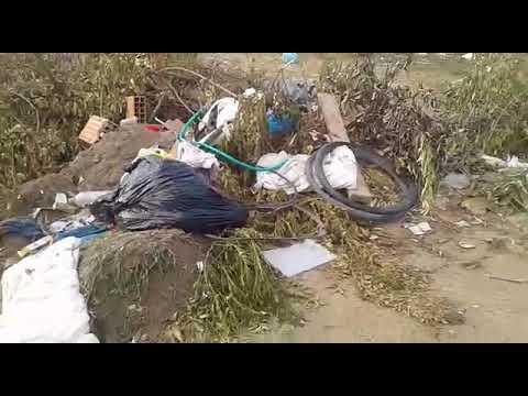 Lixo: Jogam tudo na minha porta, diz leitora