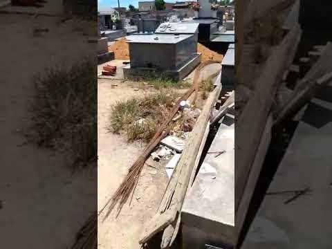 Quem deve limpar? Pergunta é de leitora, sobre o Cemitério São José, em Linhares