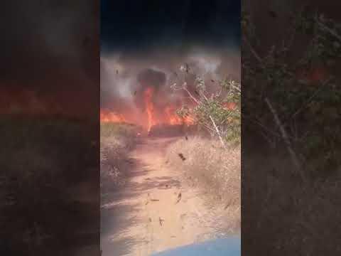 Imagens impressionam: Fogo consome canavial em Linhares